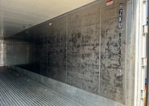 40ft HC CW Reefer Container Carrier