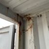 20ft Standard Shipping Container for Wind and Watertight Storage – Used