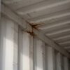40ft Standard Shipping Container for Wind and Watertight Storage – Used
